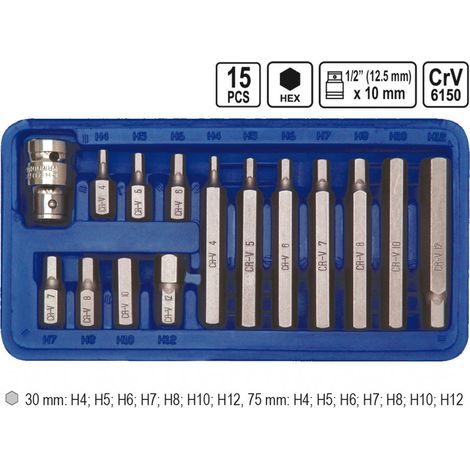 15 Tlg Innensechskant Einsätze Bitsatz mit 1/2 Adapter (1/5)