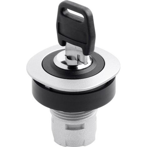 Schlegel RQJSSA18 RONTRON RQJSSA18 Interruttore a chiave Metallo, Nero 1 x 90 ° 1 pz.