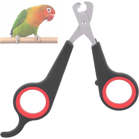 Ciseaux à griffes pour oiseaux wxsp, accessoires pour petits animaux (perroquets, oiseaux de compagnie), outils de soin de la fourrure, pince à griffes, noir et (1/5)