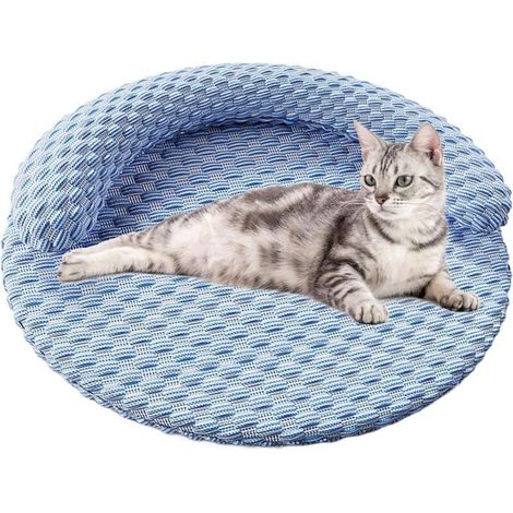 Tapis Rafraîchissant pour Chats (1/5)