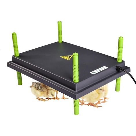 Plaque Chauffante pour assiettes Poussins Vert/Noir