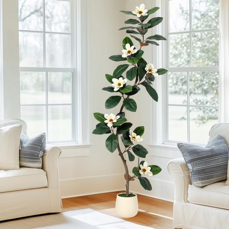 Arbre caoutchouc & magnolia 183 cm – 8 fleurs magnolia, pot blanc – Modèle grand format – Salon/bureau (1/5)