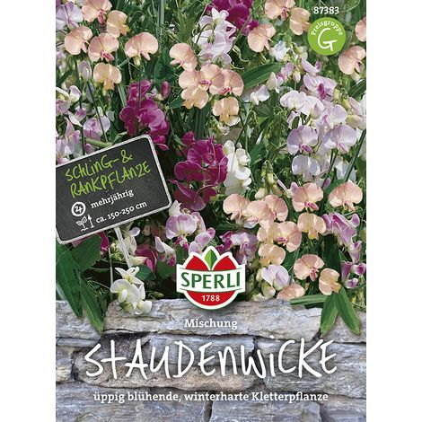 Blumensamenmischung, Stauden 'Wickie' (1/2)