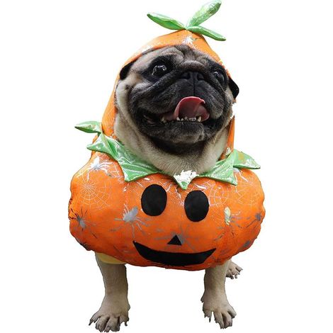 Costume Halloween Chien Chat - Déguisement Poupée Effrayante avec Bras Rembourrés et Perruque - Pour Chiens et Chats Petits Moyens Grands - 1 Pièce (1/5)