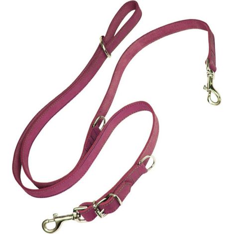 Guinzaglio per Cani Gloria Oasis Multiplo 2.1 x 200 cm Rosa
