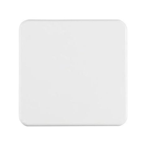 Berker Wippe pws/gl IP44 155009 (1/5)