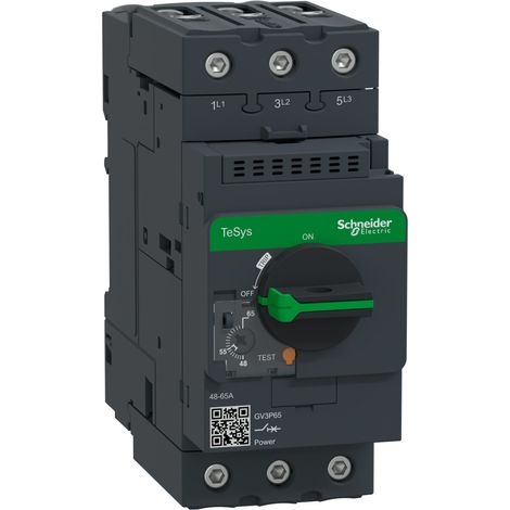 Interruttore Salvamotore Telemecanique GV3P 48-65A 3P GV3P65 (1/4)
