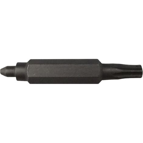Broche De Rechange Double Embout Vélo - Compatible Standard Et T10 Torx - Jagwire