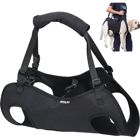 Harnais de levage pour chien, sac à dos d'urgence pour pattes d'animal de compagnie, soutien et rééducation, sangles de levage réglables, pour chiens âgés, blessures articulaires (1/5)
