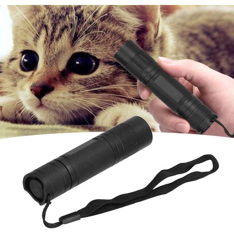 Lampe Torche UV 365nm à Piles, Détecteur de Faux Billets et Pièces pour Collectionneurs (1/5)