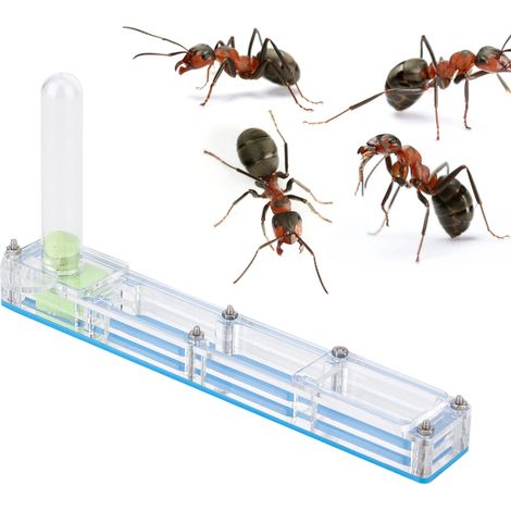 Boîte d'exposition de formicarium de nid de maison d'élevage de fourmis en acrylique avec tour d'eau, bleu hydratant (1/5)