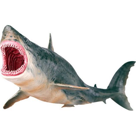 Ornement Requin en Plastique Vif - Jouet Éducatif sur les Animaux Marins, Idée Déco avec Gravure et Peinture Détaillée (1/5)