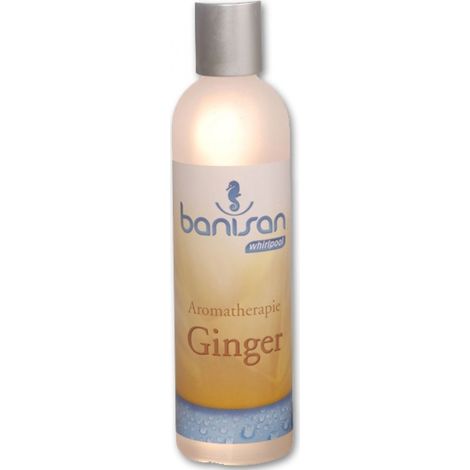 Banisan Badezusatz GINGER Whirlpool Aromatherapie Ingwerduft 250 ml