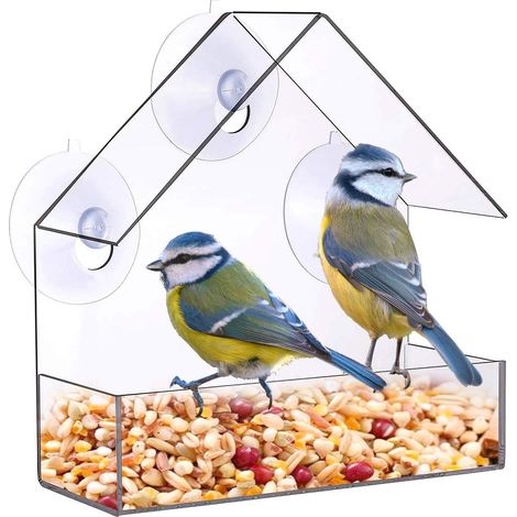 Mangeoire en acrylique pour oiseaux et écureuils, récipient pour nourriture ou eau destiné aux cages et aux zones d'élevage domestiques.-AquaForge (1/5)