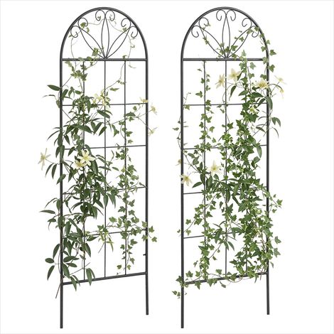 Arche de jardin en métal noir pour plantes grimpantes lot de 2 (1/5)