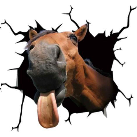Stickers muraux animaux, stickers tête de cheval, stickers électrostatiques créatifs pour vitres de voiture. (1/5)