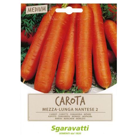 SEMI PER ORTAGGI E VEGETALI carota lunga nantese 2