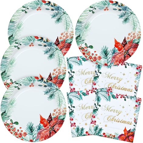 Assiettes de Noël, Lot de 40 Serviettes en papier de table Vaisselle de fête jetables pour Noël (1/5)