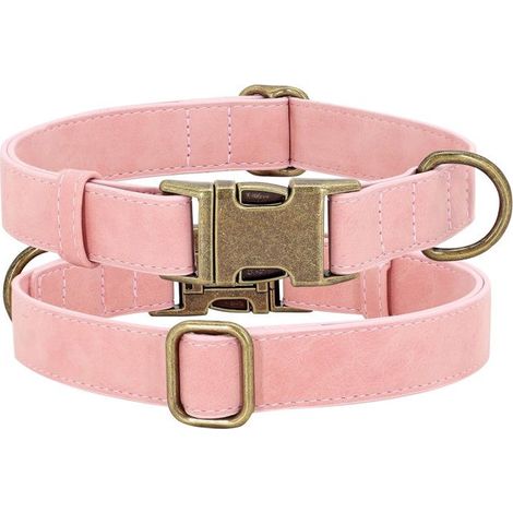 Collier pour animaux 25-40 cm Facile à nettoyer Taille ajustable Convient chiens petite et moyenne taille promenades quotidiennes (1/4)