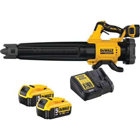 Laubbläser XR 18V (2x5,0 Ah) - DEWALT DCMBL562P2