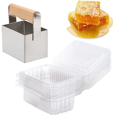 Outils d'apiculture, boîte d'élevage de reines, boîte à reines, godets à alvéoles, kit d'élevage d'abeilles, cellules royales, apiculteur, acier inoxydable (1/5)
