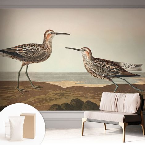Fototapete Tapete Vliestapete mit Kleber - trendige Wanddeko - Schlafzimmer - Wohnzimmer Vogelsilhouetten 312x219 cm (1/5)