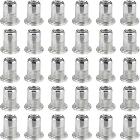100 Stück M6 Flachkopf-Nietmuttern