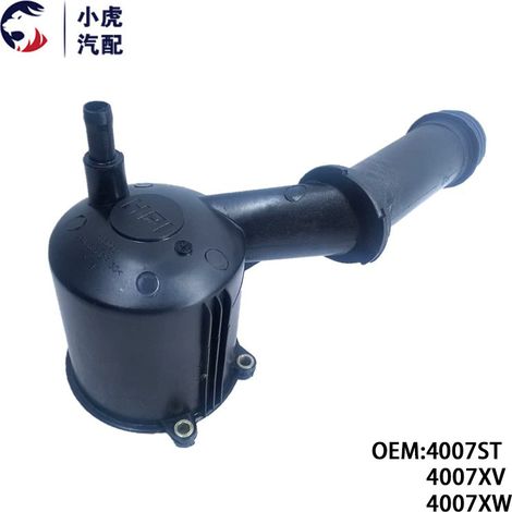 4007ST, 4007XV, and 4007XW are suitable power steering pump fluids for Peugeot 307 and Citroën C4. (1/5)