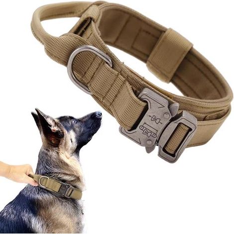 Collier tactique pour chien - Collier pour chien - Collier marron - Collier pour animal de compagnie - Collier de dressage pour chien - Chiens moyens à grands - Marron - Nylon marron (1/5)