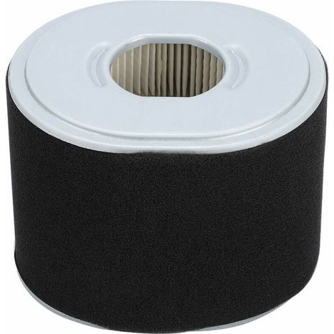 Filtro aria per tosaerba compatibile con Honda GX390 GX340 11 13 HP -Crezuo