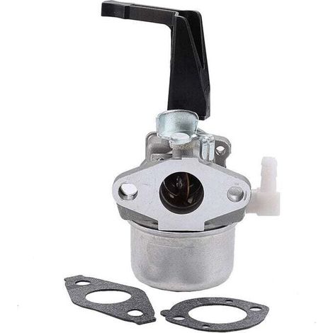 696065 Carburatore per Briggs & Stratton 696065 697422 110402-0206-E1 (1/4)