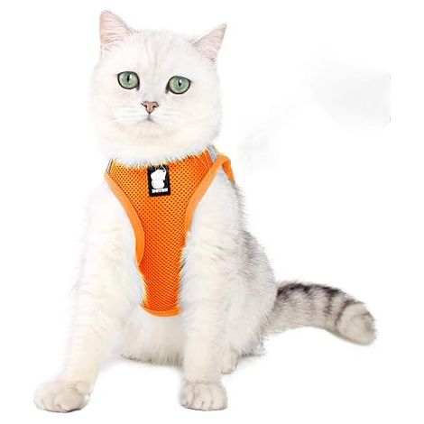 Porte-chat Porte-chaton réglable Porte-chat et laisse Set Pet Cat Imperméable Réfléchissant Respirant Doux Maille Orange Taille L (1/4)