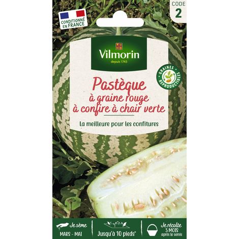 Pastèque à Graine Rouge à Confire à Chair Verte Vilmorin (1/4)