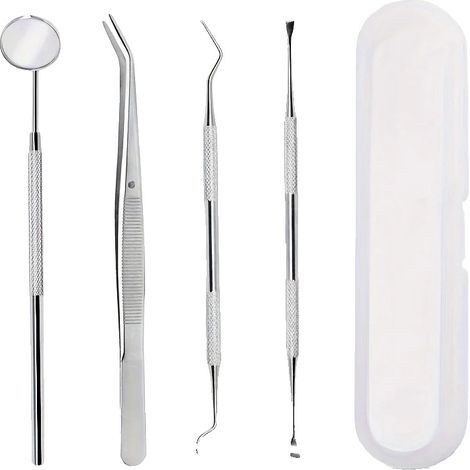 Kit per la pulizia dentale, strumenti in acciaio inossidabile, design ergonomico, 4 pezzi in una scatola di plastica (1/2)