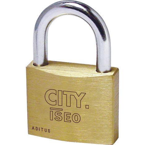 Lucchetto di Sicurezza City Arco Standard Mm 30 10 Pezzi Iseo