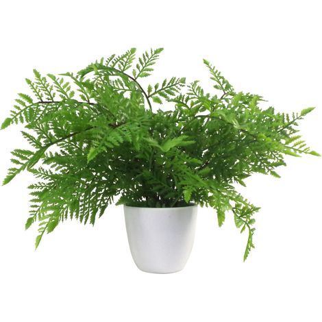 30cm Artificial Potted Southern Wood Fern (1/4)