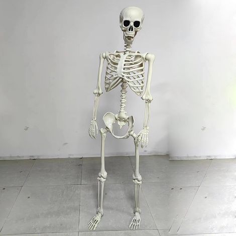 Crâne d'Halloween de 165 cm - Parfait pour la décoration de maisons hantées, l'embellissement de bars et les installations de fêtes. (1/2)