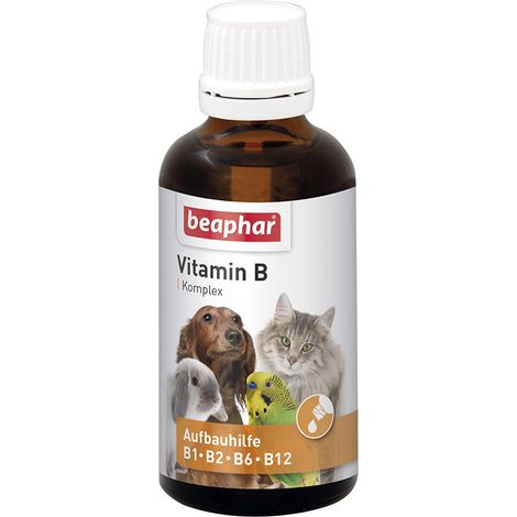 BEAPHAR - Complesso di vitamina B Per cani, gatti, roditori, uccelli - Trattamento vitaminico B1, B2, B6, B12 - Supporta le difese - Stimola l'appetito - Aumenta il benessere - 50 ml (1/4)
