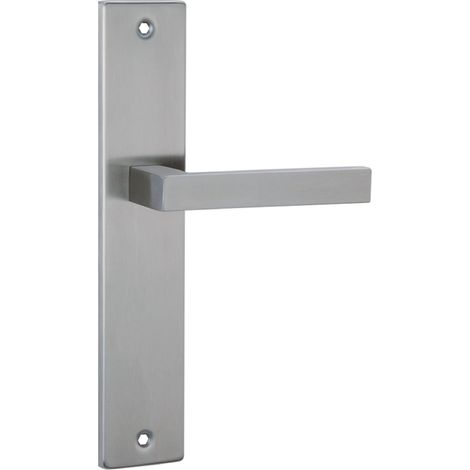 Manilla puerta acero inoxidable 8003 placa rectangular alta intensidad uso (1/5)