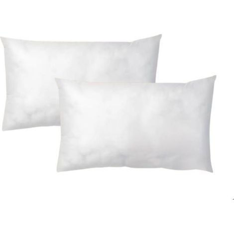 LNT France Lot de 2 Coussins de garnissages 50x30 cm – ultra gonflant longue durée pour housse canapé déco salon (1/5)