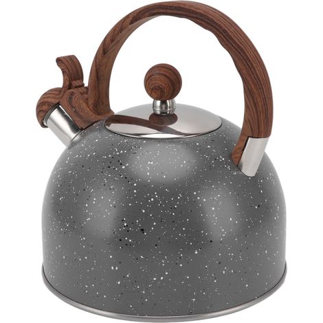 Bouilloire sifflante 2,5 L en acier inoxydable, grise, idéale pour faire bouillir l'eau.