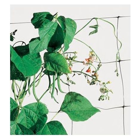 Tenax Rete Plastica Flora Mt 2,00X 20 (1/2)