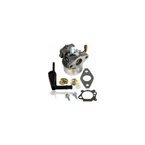 Carburatore compatibile con Briggs & Stratton Intek 206 214731 Carb