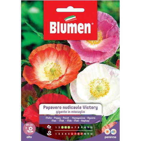 SEMI PAPAVERO NUDICAULE VICTORY GIGANTE IN MIX BLUMEN (1/2)