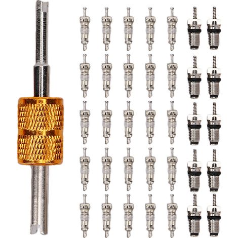 Kit de noyau de Valve de climatisation de voiture, réfrigérant R134A R12 AC pour la réparation du système (1/5)