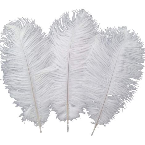 Set of 10 ostrich feathers for home decor, weddings, 30-35 cm
