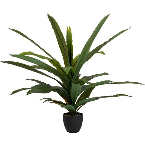 Plante Dracaena Fragrans avec pot 130 x 40 x 21 cm (1/2)