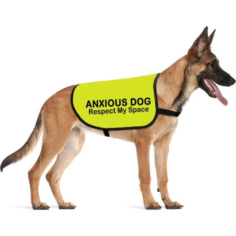 Gilet d'avertissement pour chien avec slogan de sauvetage pour chiens anxieux (espace anxieux, taille M) (1/5)
