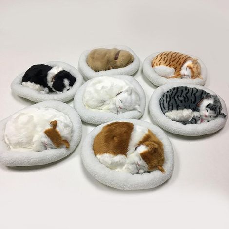Plüschtier: Schlafende Katze mit Kissen  Weiches und atmungsaktives Spielzeug für Zuhause oder zur kindlichen Förderung  Hochwertiges Plüschmaterial  1x Katzenmodell und abnehmbares Kissen
