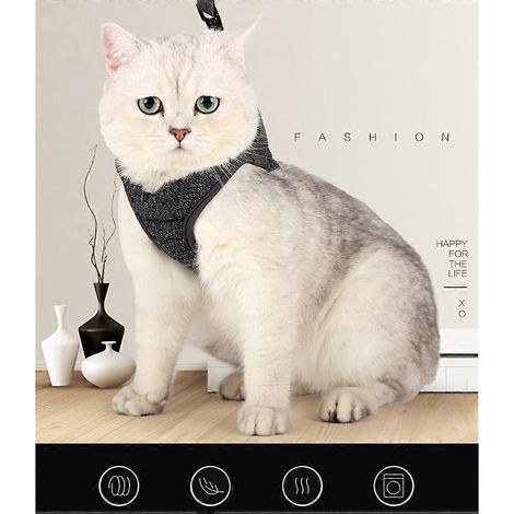 Arnés ajustable para gatos, chaleco con correa cómoda, 2 piezas para pasear. (1/5)
